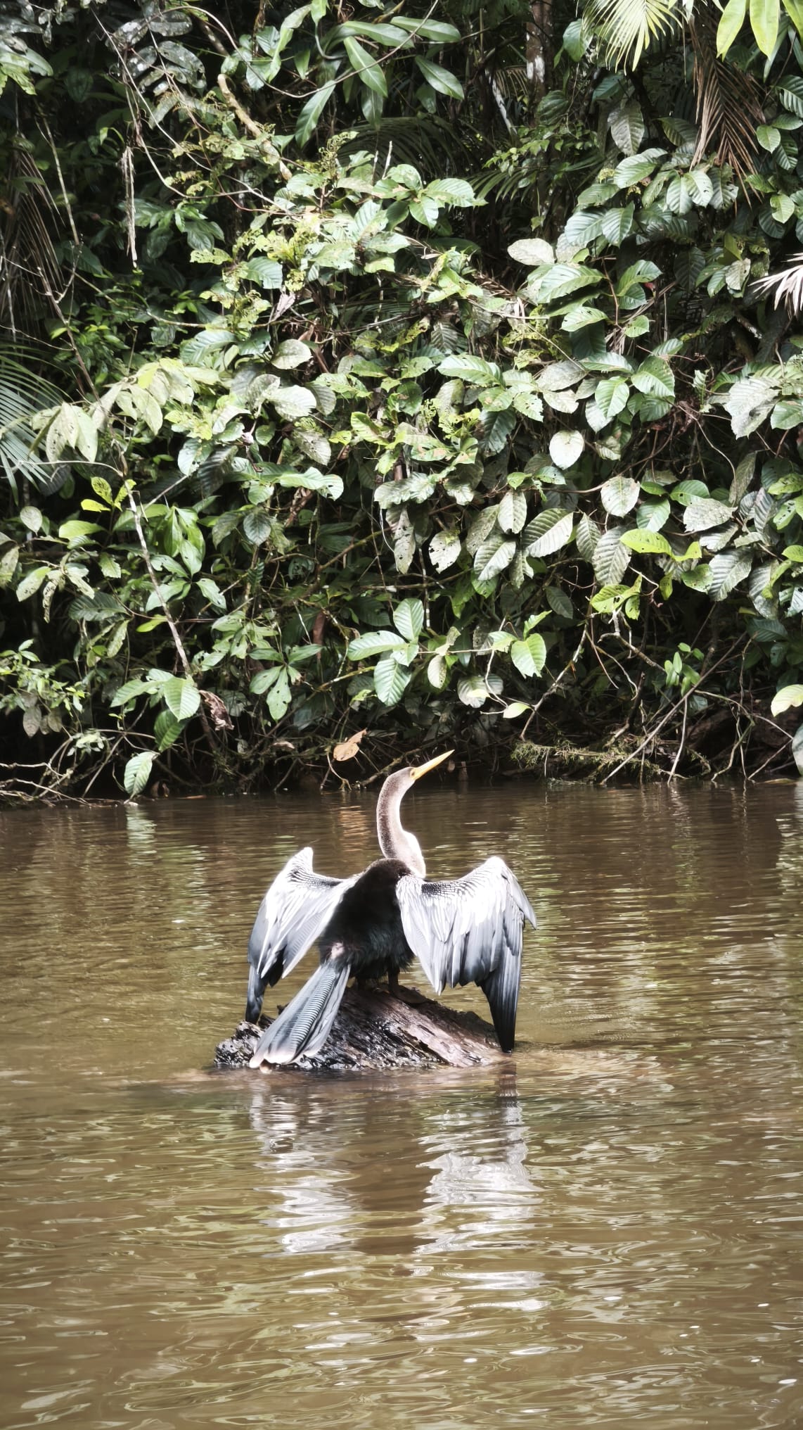 Viaggio Ecuador e Galapagos